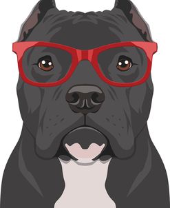 Pitbull Wearing Hipster Glasses 2