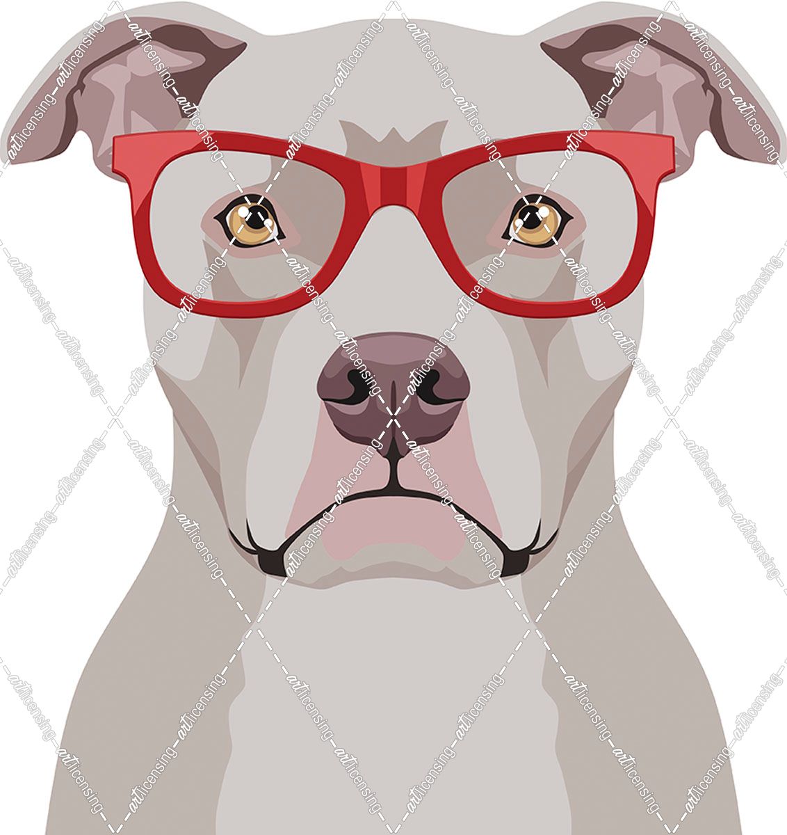 Pitbull Wearing Hipster Glasses