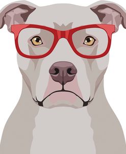 Pitbull Wearing Hipster Glasses