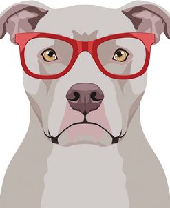 Pitbull Wearing Hipster Glasses