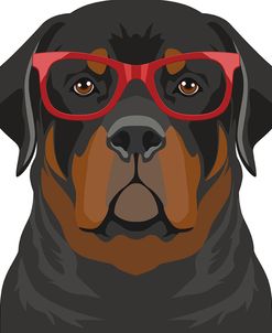 Rottweiler Wearing Hipster Glasses 1