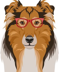 Rough Collie Wearing Hipster Glasses