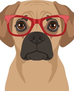 Puggle Wearing Hipster Glasses