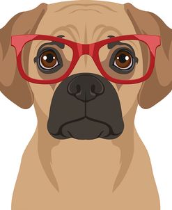 Puggle Wearing Hipster Glasses