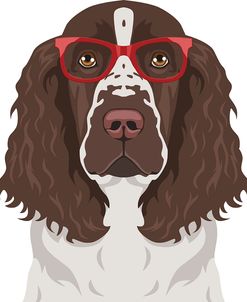 Springer Spaniel Wearing Hipster Glasses