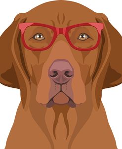 Vizsla Wearing Hipster Glasses 2