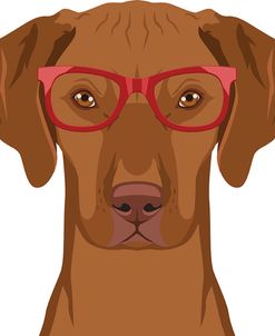 Vizsla Wearing Hipster Glasses