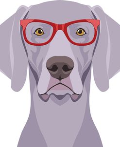 Weimaraner Wearing Hipster Glasses 1