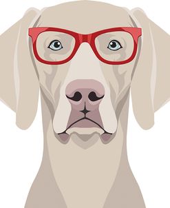 Weimaraner Wearing Hipster Glasses 2