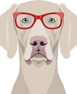 Weimaraner Wearing Hipster Glasses 2