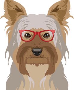 Yorkshire Terrier Wearing Hipster Glasses 2