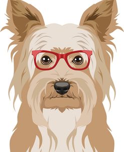 Yorkshire Terrier Wearing Hipster Glasses