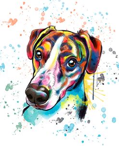 Colorful Watercolor America Foxhound