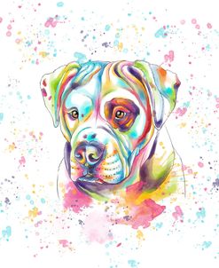 Colorful Watercolor American Bulldog
