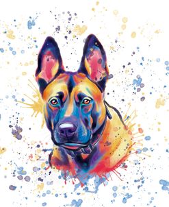 Colorful Watercolor Belgian Malinois