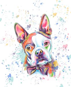 Colorful Watercolor Boston Terrier