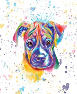 Colorful Watercolor Boxer 2