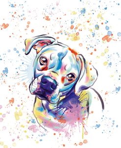 Colorful Watercolor Boxer 3