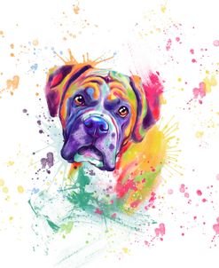 Colorful Watercolor Boxer