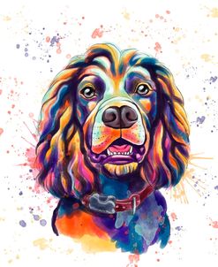 Colorful Watercolor Cocker Spaniel 2