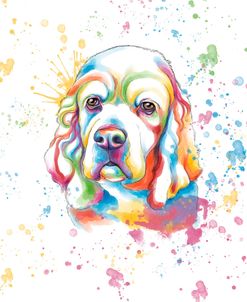 Colorful Watercolor Cocker Spaniel