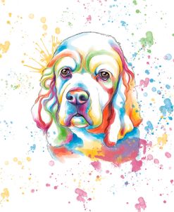 Colorful Watercolor Cocker Spaniel