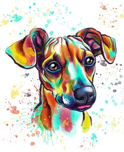 Colorful Watercolor Dachshund