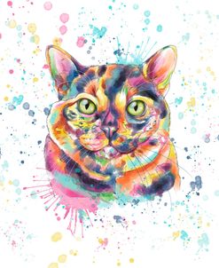 Colorful Watercolor Calico Cat