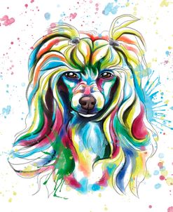 Colorful Watercolor Chinese Crested