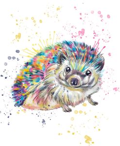 Colorful Watercolor Hedgehog