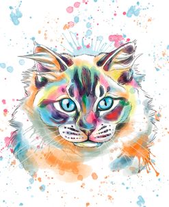 Colorful Watercolor Himalayan Cat