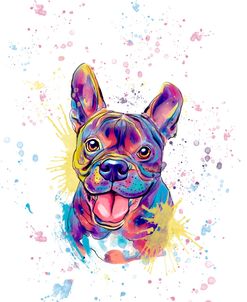 Colorful Watercolor French Bulldog