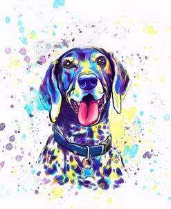 Colorful Watercolor German Shorthaired Pointer 2