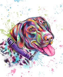 Colorful Watercolor German Shorthaired Pointer