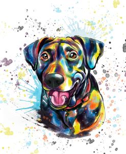 Colorful Watercolor Labrador Retriever