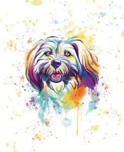 Colorful Watercolor Llaso Apso