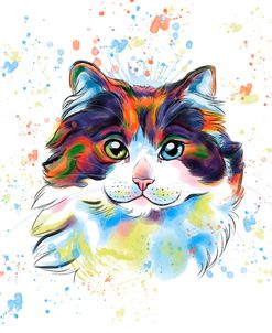 Colorful Watercolor Maine Coon Cat