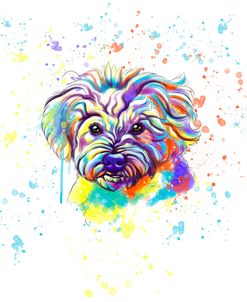 Colorful Watercolor Maltese