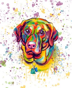 Colorful Watercolor Labrador Retriever 3