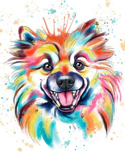 Colorful Watercolor Pomeranian