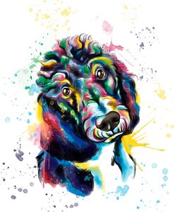 Colorful Watercolor Poodle 2