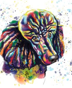 Colorful Watercolor Poodle