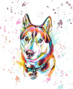 Colorful Watercolor Siberian Husky