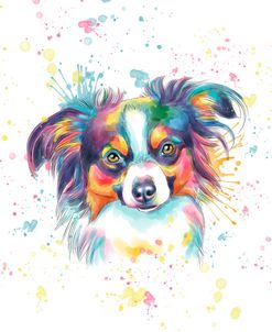 Colorful Watercolor Papillon