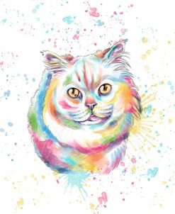 Colorful Watercolor Persian Cat