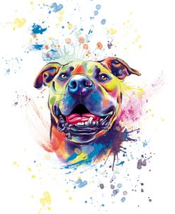 Colorful Watercolor Pit Bull