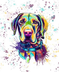 Colorful Watercolor Vizsla