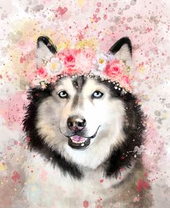 Flower Crown Alaskan Malamute