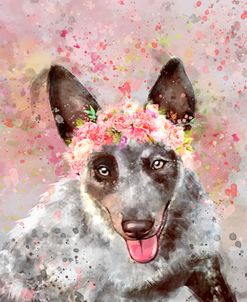 Flower Crown Australian Cattle Dog 2