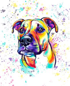Colorful Watercolor Staffordshire Terrier 2